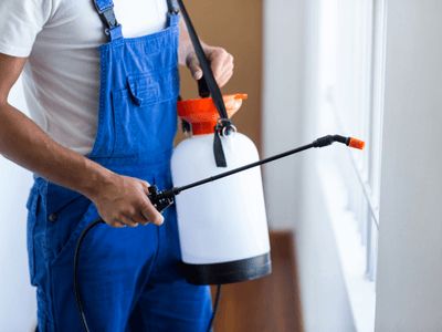 About Ballard Bed Bug Inspection - bed bug inspection experts in Ballard