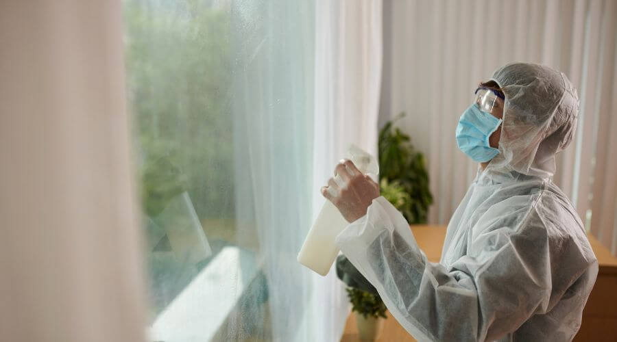 Why choose Ballard Bed Bug Inspection for bed bug inspection in Ballard